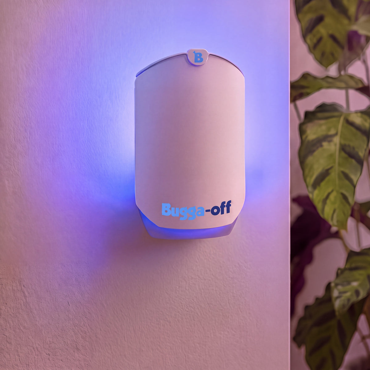 Plug-In Insect Trap