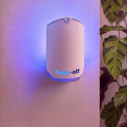Plug-In Insect Trap